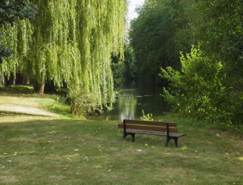 Le Clos Du Murier Chassignelles ภายนอก รูปภาพ