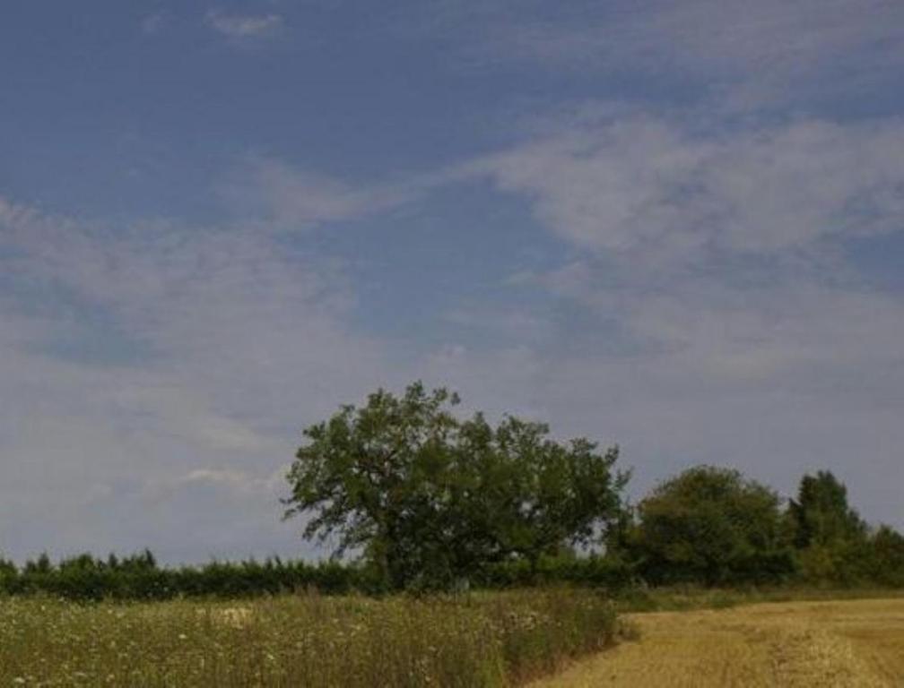 Le Clos Du Murier Chassignelles ภายนอก รูปภาพ